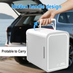 Mirror Car Refrigerator Home Small Fridge Mask For Makeup Cosmetics Home Refrigerator Cooling With LED Light Refrigerator For Makeup 4L/6L EU