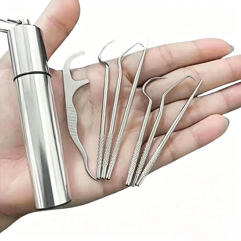 Stainless Steel Toothpick Set Reusable Toothpicks Tooth Flossing Tartar Removal Tool Portable Teeth Cleaner for Tooth Oral Clean Main image