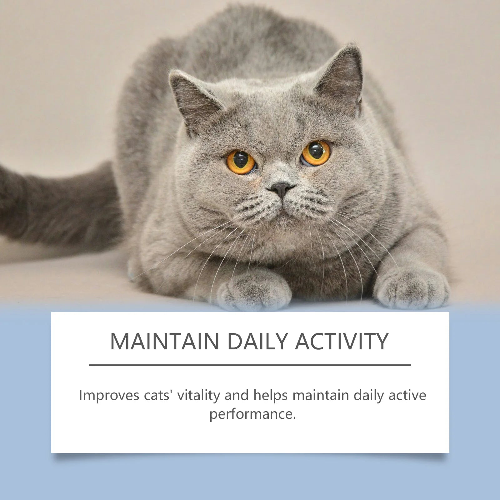 Yegbong 50ml Cat Vitamin Supplement Daily Care to Help Nutrition, Promote Growth, and Support Cat's Recovery, Vitamin Care Drops