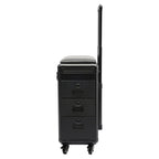 Rolling Makeup Train Case w/Tattoo Armrest Stand,Beauty Trolley Case with 3 Drawers, 4 Universal Wheels, and Combination Lock