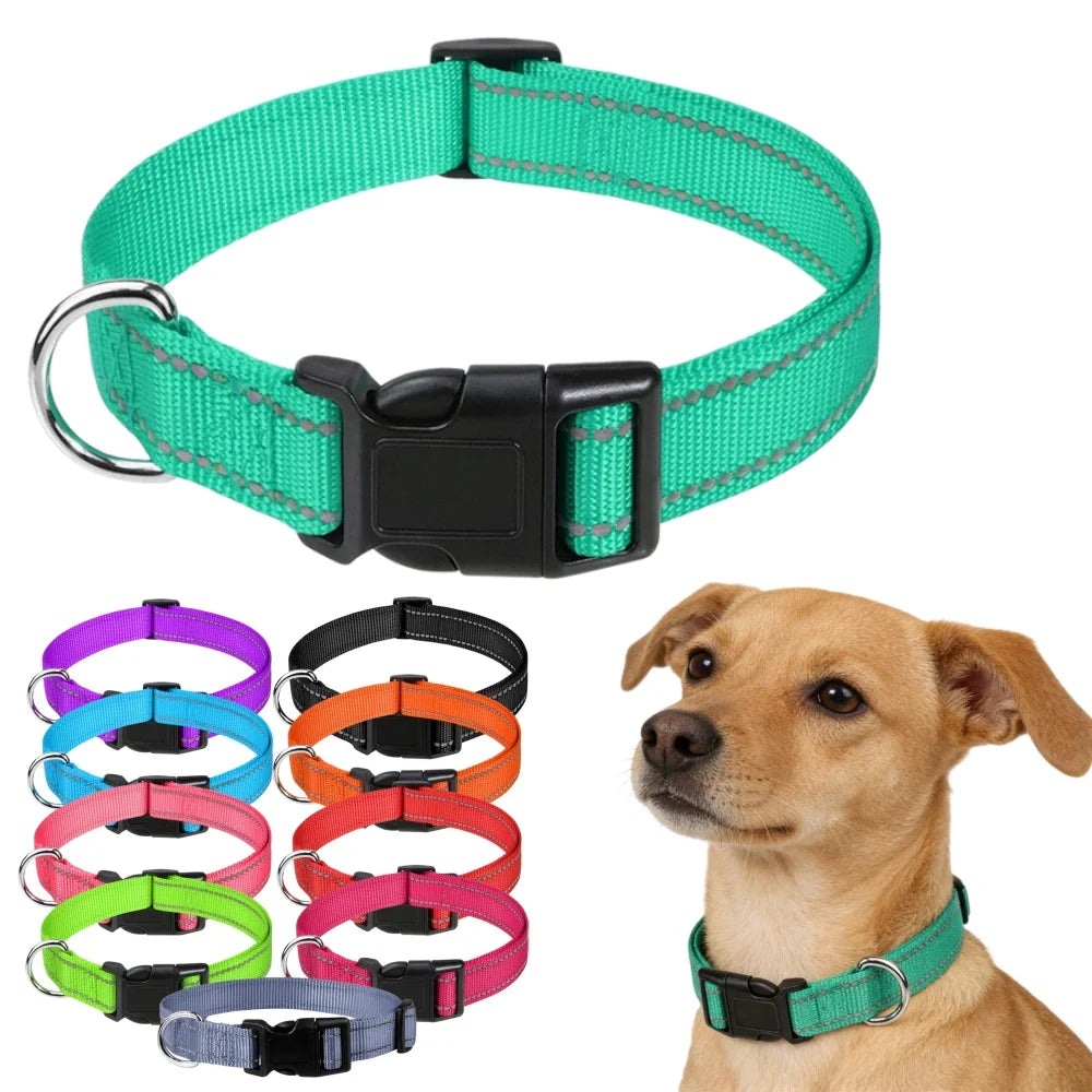 10 Colors Pet Dog Collar Nylon Neck Collar for Small Mdium Large Dog Chihuahua Leash Reflective Collars Supplies Pet Accessories Image principale du produit