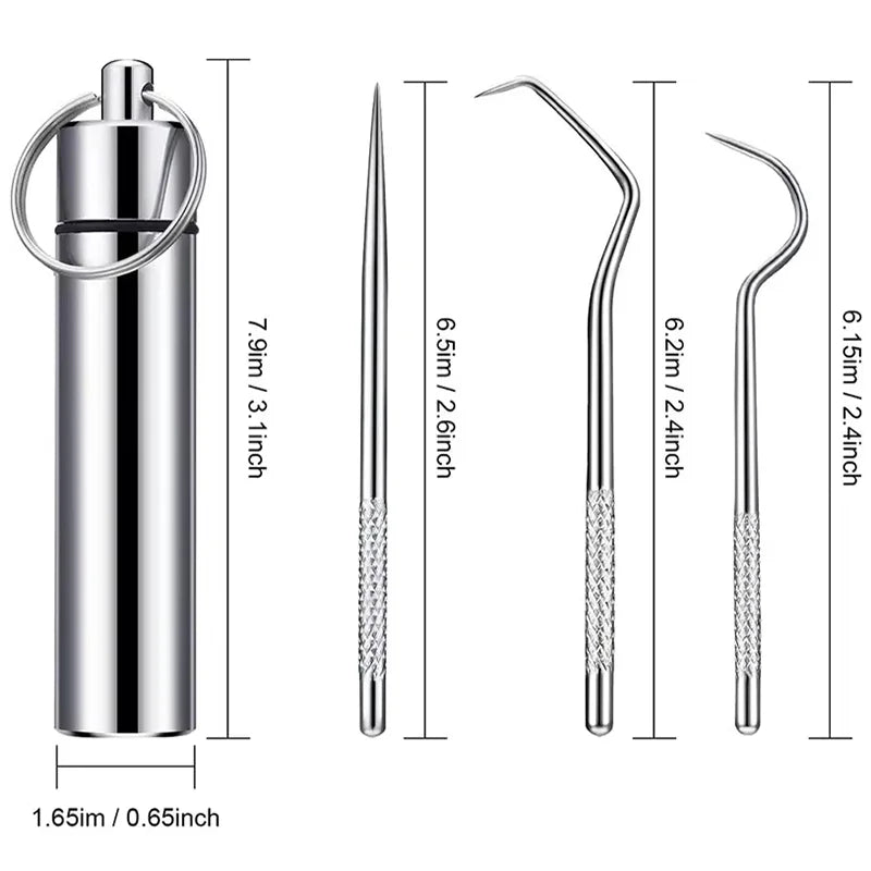Stainless Steel Toothpick Set Reusable Toothpicks Tooth Flossing Tartar Removal Tool Portable Teeth Cleaner for Tooth Oral Clean Secondary image