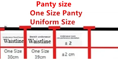 Sexy Lace Bra & Panty Set Minimizer Anti-Sag Full Coverae Adjustable Underwire Big Bust Support Thin Side Support No Spillageg