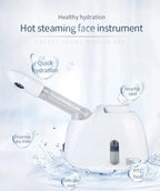 Professional Care Mini Appliances Face Nose Hot Spa Steamer Humidifier Vapozone Machine Nano Mist Spraer Facial Steamers
