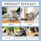 Yegbong 50ml Cat Vitamin Supplement Daily Care to Help Nutrition, Promote Growth, and Support Cat's Recovery, Vitamin Care Drops
